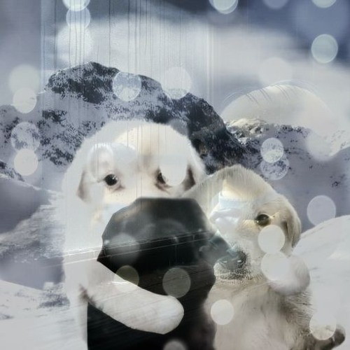 un error (ft kuxho, kyuzeett.opus)