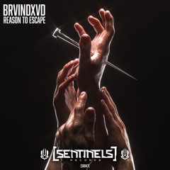 BRVINDXVD - Salvation