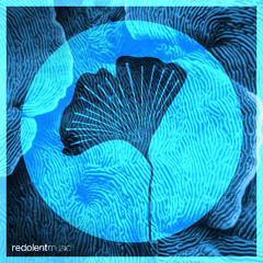 Allan Nunez - Tambora (Original Mix Snippet)