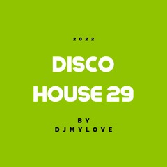 DISCO HOUSE 29