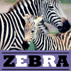 [FREE] KINDLE 📝 Zebra by  Caroline Arnold &  Richard Hewett [EBOOK EPUB KINDLE PDF]