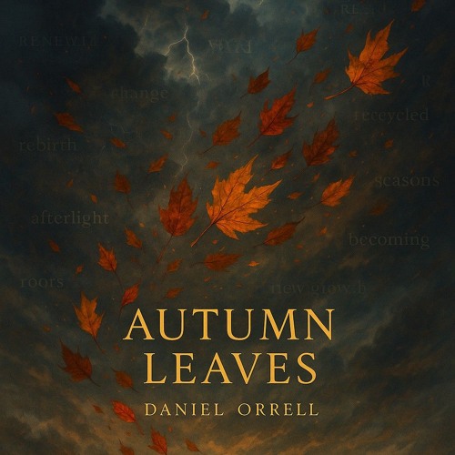 The Way You Fill The Night