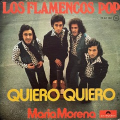 Los Flamencos Pop - Quiero Quiero