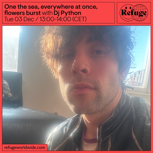 Stream One the sea, everywhere at once, flowers burst - DJ Python - 03 ...