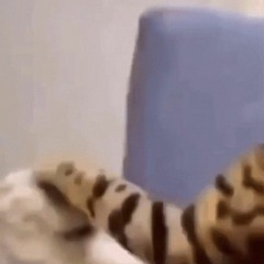 dĩ vãng nhạt nhòa saxophone