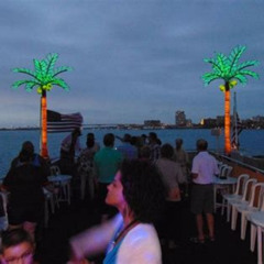 Best Calypso Queen Tropical Party Buffet Cruise Tours Review