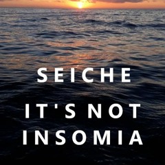It's Not Insomia