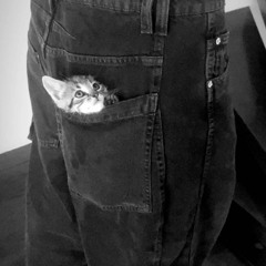 Gatti