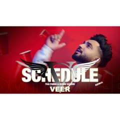 Schedule Remix | VEER | Tegi Pannu & Manni Sandhu