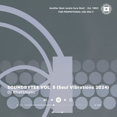 SOUNDBYTES VOL. 5 (Soul Vibrations 2024)