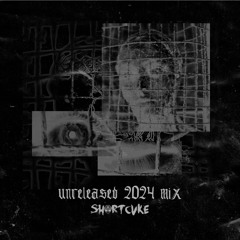 Unreleased 2024 Mix