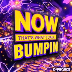 DJ D - PROJECT NOW THATS WHAT I CALL BUMPIN VOL 1