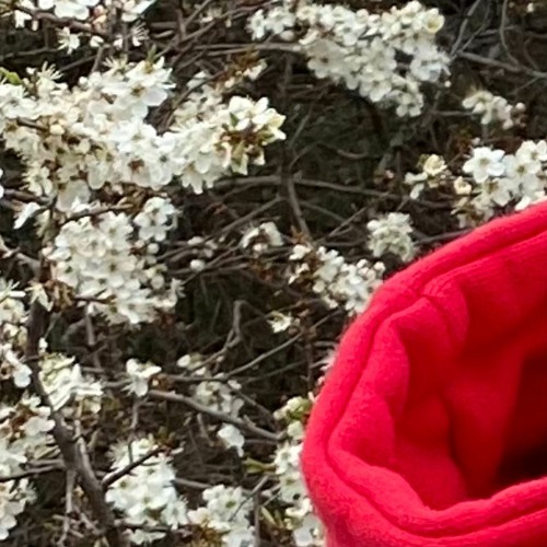 'operation sumn else