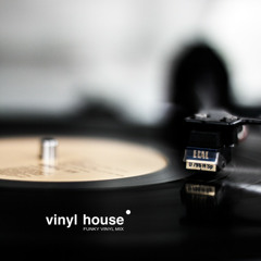 VINYL HOUSE