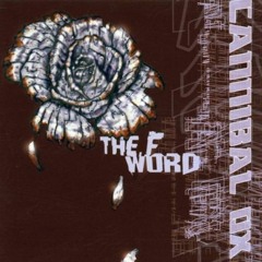The F Word (RJD2 Remix)