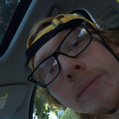 Sundlower Seeds Light Mix (rob influenced)