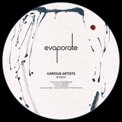Evaporate Various Artists 010 [ZFVA010] (Pt. 1)