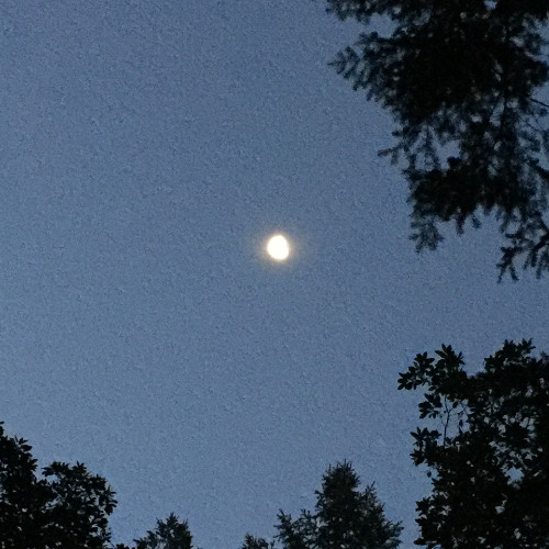 Move Jah Light-Force, Wo Swing feat. Dave Sangelo Keys and Bass