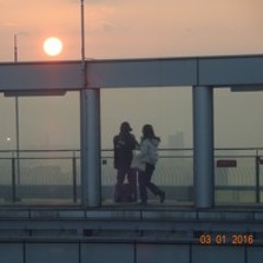 Distant Love