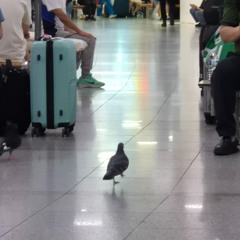 Same Kinda Day (Prod. Noizy)