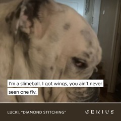 LUCKI - Bad Dreams / Diamond Stitching