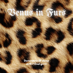 Venus in Furs - Strfll x final grrrl demo