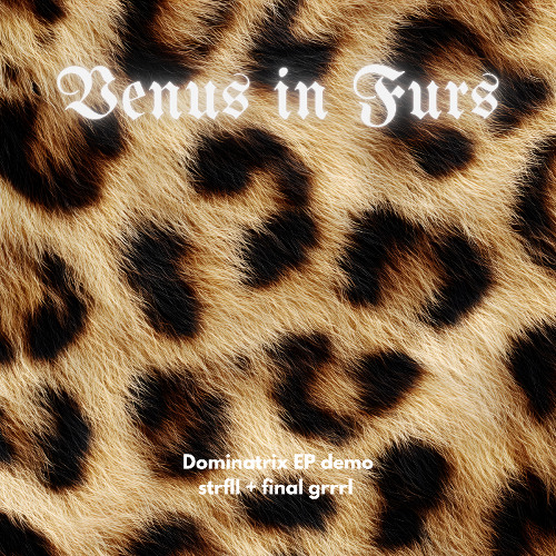 Venus in Furs - Strfll x final grrrl demo