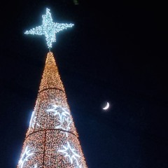 Magie de Noël 💖✨