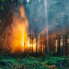 rhYthmic reaLms (PsyTechno-DjMiX)