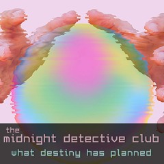 What Destiny Has Planned (The Midnight Detective Club)