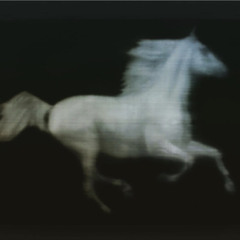 MY WAY (feat Julrity)