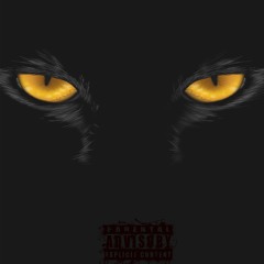 Black Tiger (prod by Youngkbeats )