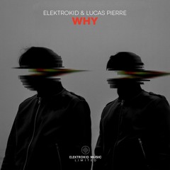 Elektrokid & Lucas Pierre - WHY
