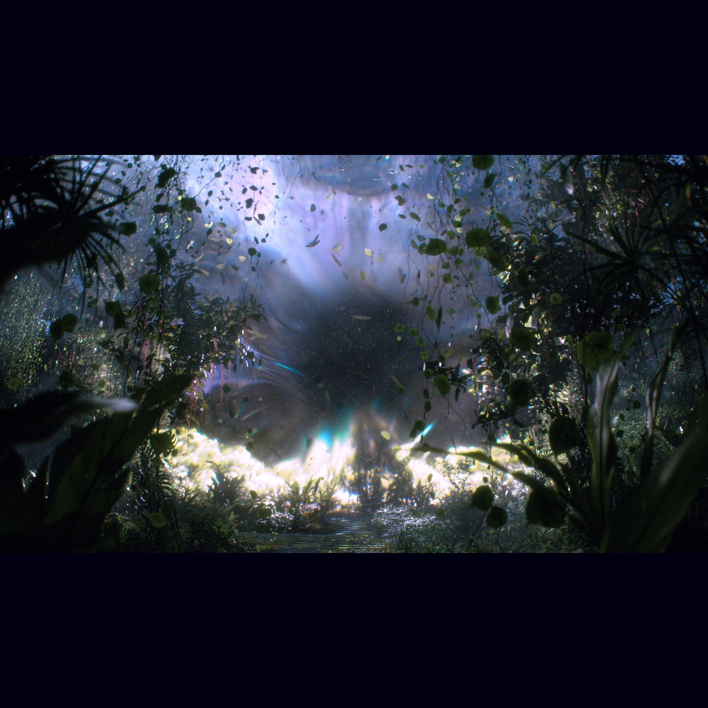 Premiere: Blue Hour — Lost Beneath the Leaves [BLUEHOURLP001] episode artwork
