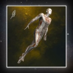 PREMIERE Taylan - Serengeti