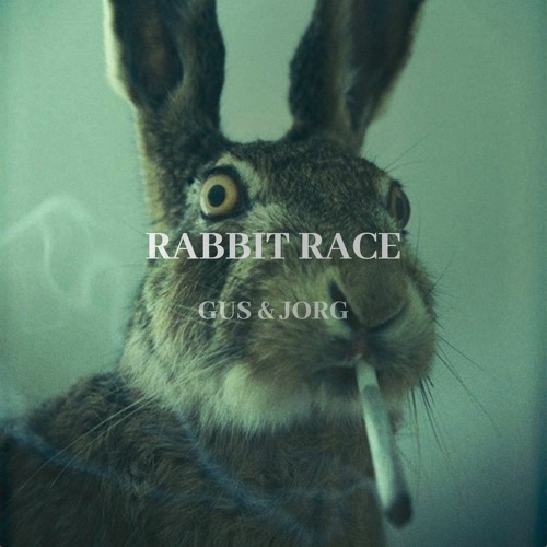 RABBIT RACE