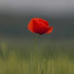 Eight Precepts: 5. Remembrance (Rev. Bill Williams, 7/25/21)