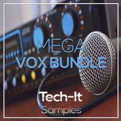 TIS010 Tech - It Samples - Tech House VOX