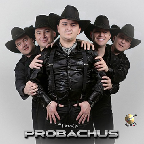 Stream Mândra și drâmba by Formatia ProBachus | Listen online for free ...
