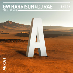 Feel For You-GW HARRISON & DJ RAE (Extended Mix)