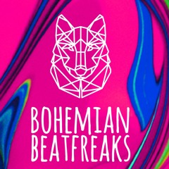 Flow Theory @ Bohemian Beatfreaks 2022