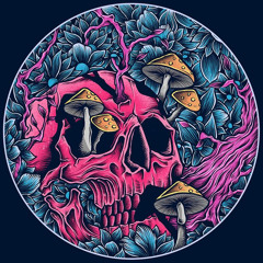 Walking from tribe to uptempo (FLX radio set)