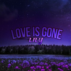 Love Is Gone - L I L Y