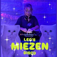Leo´s Miezen D.I.S.C.O. Deluxe 🐈🪩 miauu