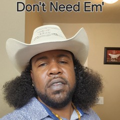 Don't Need Em'.mp3