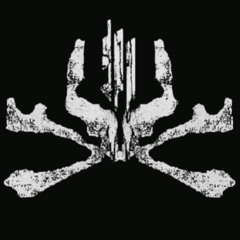 Skrillex & Fred Remix - Tiimmy Turner [GIMIC Live HQ Rip]