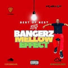 BEST-OF BEST 2024 BANGERZ-MELLOW EFFECT