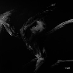 BCCO Premiere: Dominique Slva - I Didn't (They Don't)[XRVA03]