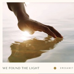 We Found the Light