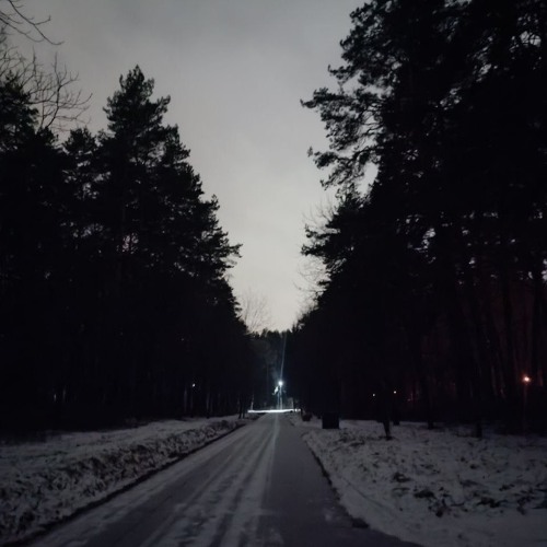 Электроптицы- Осколки